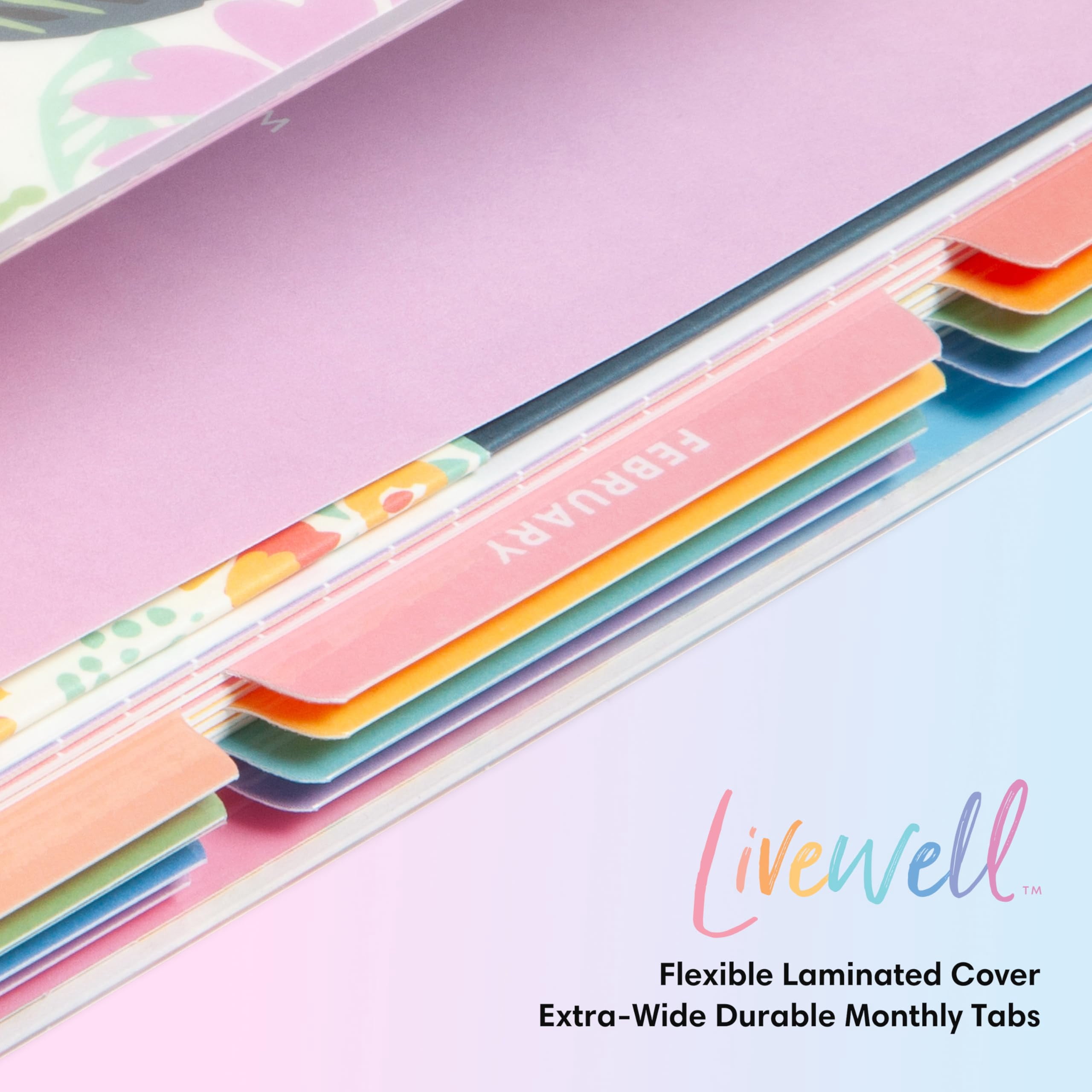 2025-26 Weekly Monthly Planner, 7x9, LiveWell, Rainbow