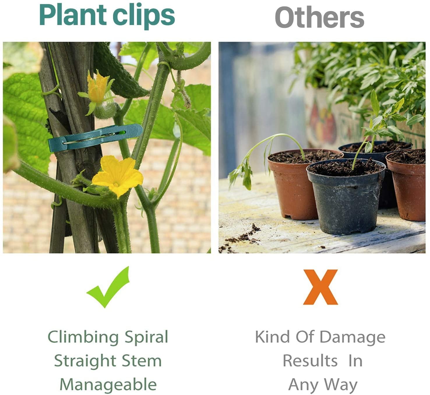 US_Plant Support Clips Vegetables Tomato Vine Flower Clips Plant Locks Secure 