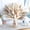 150PCS, variant on 93PCS Natural Pampas Grass 8-Kind Mixed Bouquet | Dried Pampas Bouquet for Wedding, Boho Flowers, Home Table & Desk Decor, Rustic Farmhouse Decor