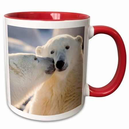 

Canada Manitoba Hudson Bay Churchill Polar bear -CN03 BJA0001 - Janyes Gallery 11oz Two-Tone Red Mug mug-70261-5