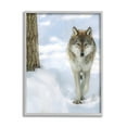 thumbnail image 4 of Stupell Industries Wild Wolf Winter Snow Photography Animals & Insects Photography Gray Framed Art Print Wall Art, 4 of 5