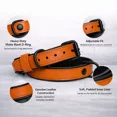 thumbnail image 3 of Collier pour Chien, Collier pour Chien Fait à la Main en Cuir Véritable, Orange avec Doublure Intérieure Vert Bouteille, Boucle Ajustable. Buddies Collars, 3 of 5