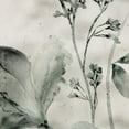 thumbnail image 4 of Floral Framed Art Under Glass 7x12, 4 of 4