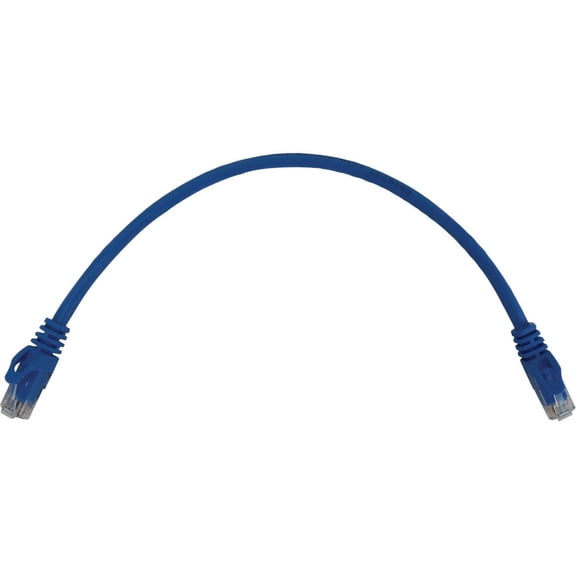 Tripp Lite Cat6a 10G Snagless Molded UTP Ethernet Cable [RJ45 M/M], PoE, Blue, 1 ft. [0.3 m] (n261-001-bl)