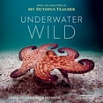 thumbnail image 2 of Underwater Wild: My Octopus Teacher's Extraordinary World, (Hardcover), 2 of 3