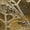 Chocolate, variant on Addison Rugs Chantille Indoor/Outdoor Transitional Floral Chocolate Machine Washable Rectangle Rug, 10' x 14'