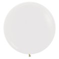 thumbnail image 1 of 24 Crystal Clear Biodegradable Party Supplies - 10 Durable & Vibrant Assorted Colors for Unisex Birthday Celebrations - Perfect for Every Party Planner!, 1 of 1