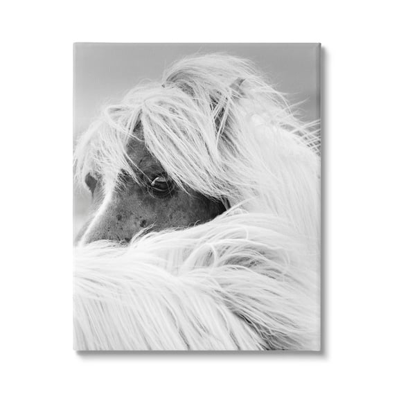 Horse Gazing Windblown Mane Animals & Insects Photograph Gallery Wrapped Canvas Print Wall Art
