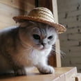 thumbnail image 5 of SPRING PARK Straw Sombrero Hat Sun Cap for Outdoor Pet Dog Cat Costume Accessory, 5 of 7