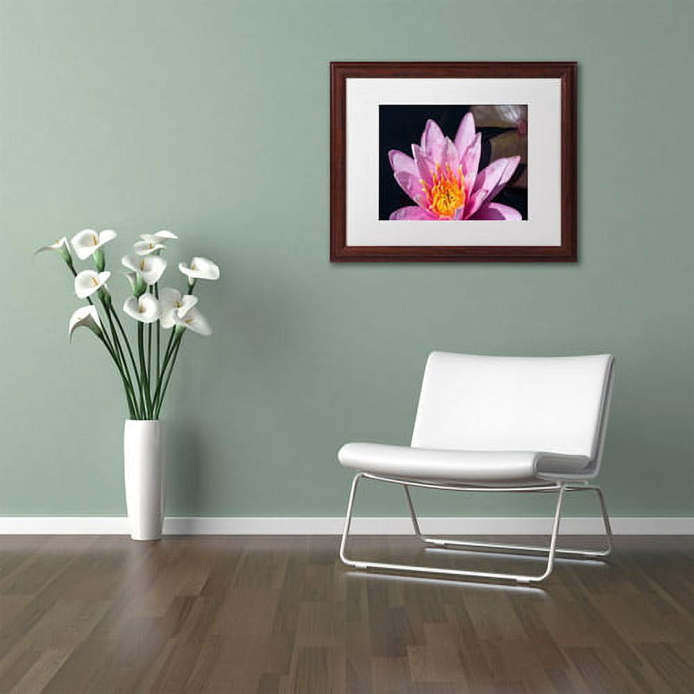 Trademark Fine Art "Pink Lotus" Canvas Art by Kurt Shaffer White Matte, Wood Frame