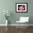 thumbnail image 3 of Trademark Fine Art "Pink Lotus" Canvas Art by Kurt Shaffer White Matte, Wood Frame, 3 of 4