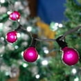 thumbnail image 6 of Novelty Lights 25 Feet Purple G50 Globe Outdoor Patio String Lights, Brown Wire, 6 of 6