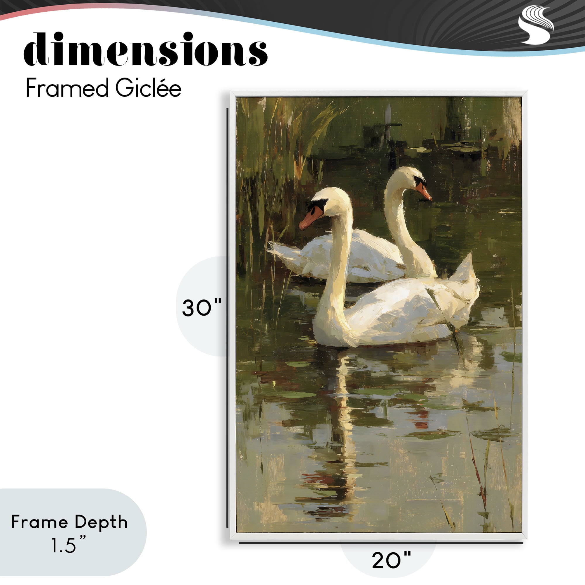Stupell Industries Swans For A Swim White Framed Giclee Art, design by Petal Prints Design