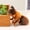 7.1in/18cm, variant on Simulated Ant Plush Toy Insect Brown Ant Animal Doll Decor Desktop Ornaments Prank Props Birthday Gifts