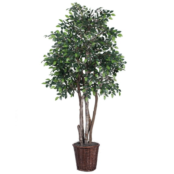 Vickerman 6' Artificial Mini Ficus Executive, Rattan Basket