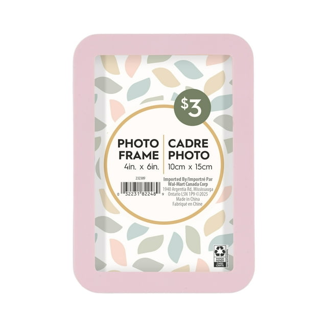 Boba pink rounded 4x6 inch decorative tabletop picture frame with a colorful leaf pattern insert and $3 price tag.