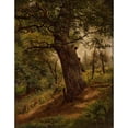 thumbnail image 2 of Wilhelm Peter Bayer 19x24 Black Ornate Framed Double Matted Museum Art Print Titled: Study of a Tree (1861), 2 of 5