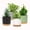 Color 4pcs, variant on 4-Pack 5-Inch Plant Pots with Drainage Holes & Detachable Base - Indoor Planters with Modern Design for Succulents, Cactus, Herbs & Small Plants, Black/White/Grey/Green