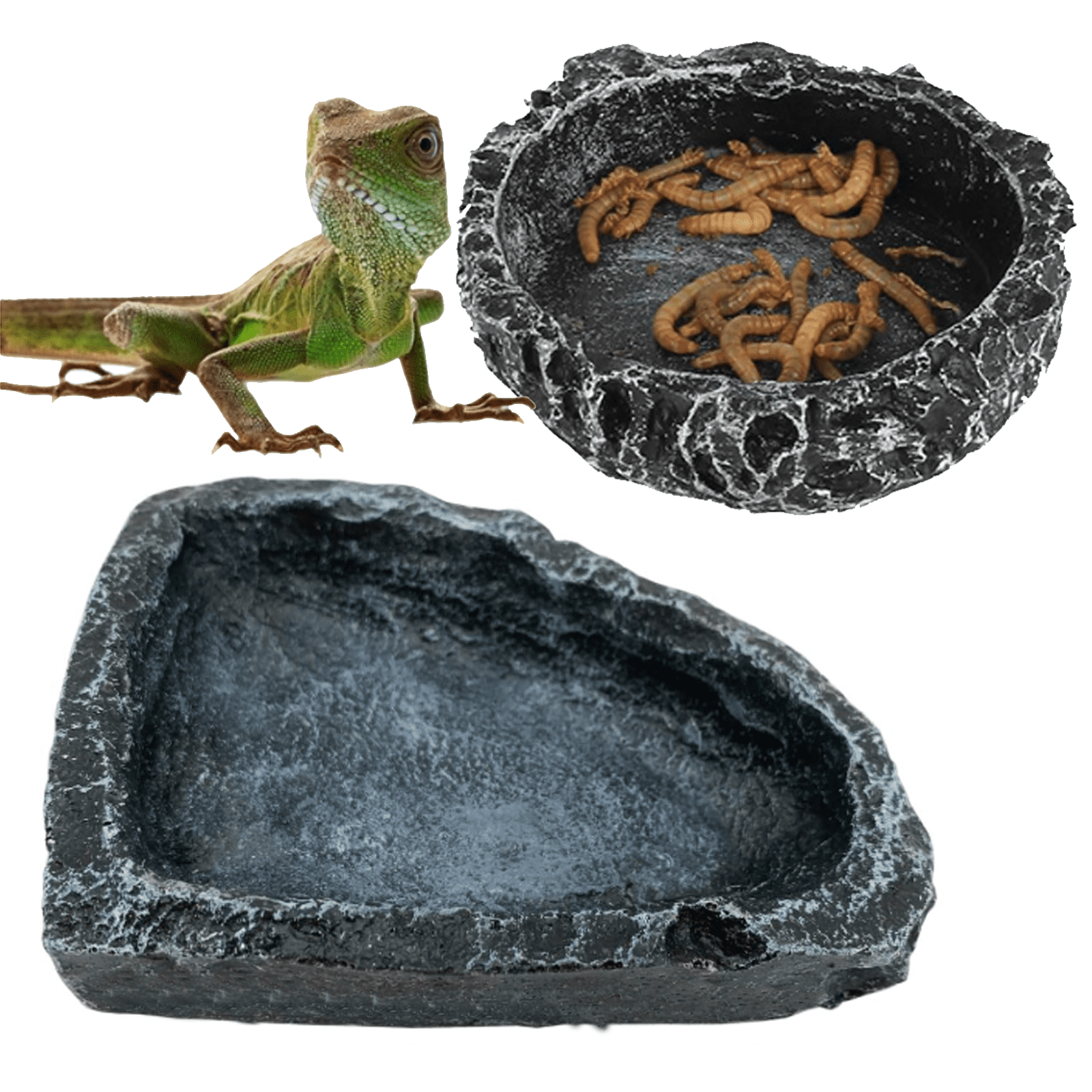 2 Pack Small Reptile Feeder Bowl Shallow Reptile Feeder for Food and Water Feeding Dish for Lizard Gecko Junior Bearded Dragon