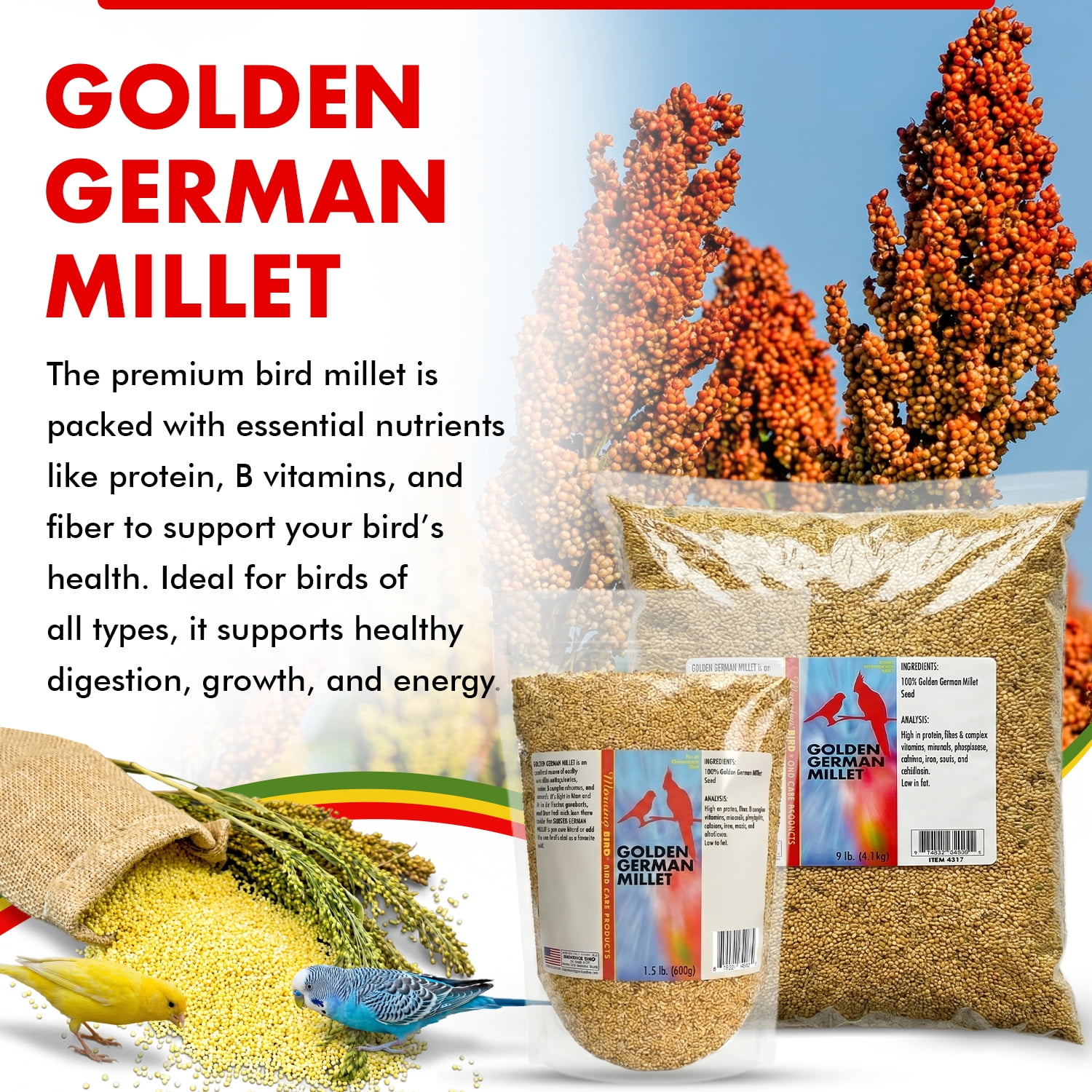 Morning Bird Golden German Millet 9 lbs – Bird Food for Parakeets, Finches & Canaries – Natural Millet Seed for Daily Nutrition