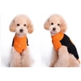 thumbnail image 3 of Suéter pequeño para cachorro de perro, disfraz de calabaza de Halloween, talla M, 3 of 5