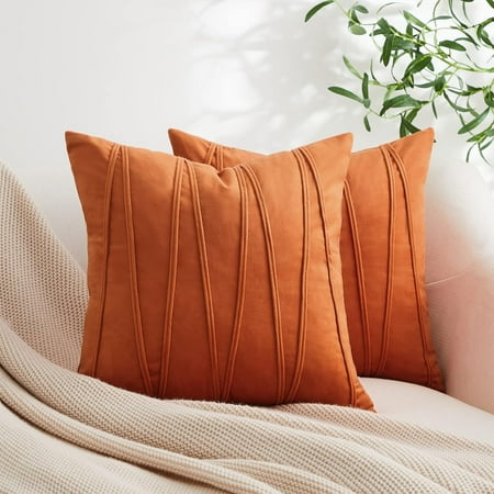 

Top Finel Burnt Orange Spring Decorative Square Throw Pillow Covers 16x16 Inch Minimalist Soft Particles Velvet Solid Rust Plain Cushion Covers for Couch Bedroom Car Fall Pack of 2