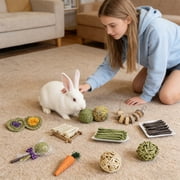 Rabbit Supplies, Rabbit Chew toys, interactive Pet toys, Willow Branches, Orchard Grass Hay, 3 in Wicker Balls, 29 Pc Assorted Pack, Guinea Pig Chew Accessories (170 Chars)