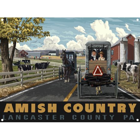 Horse Metal Art - Amish Country Lancaster County Pennsylvania Country Horse Buggy Metal Art Print by Paul A. Lanquist (9