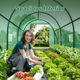 thumbnail image 4 of Greenhouse with Watering System, Large Walk-in Greenhouse Reinforced Metal Frame, 6 Screen Windows and 1 Door, Green House Irrigation Watering Kit for Garden Plants Flowers, 4 of 6