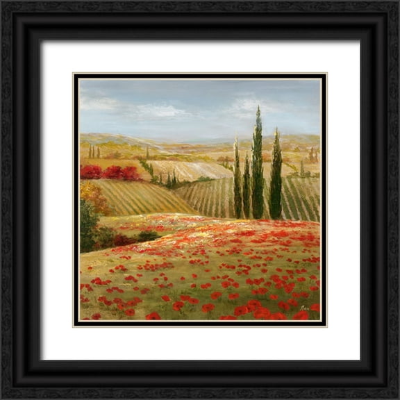 Nan 12x12 Black Ornate Wood Framed with Double Matting Museum Art Print Titled - Tuscan Cypress II