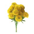 thumbnail image 2 of POINTERTECK 10Pcs Artificial Dandelion Flower Arrangement Wedding Party Desktop Office Decor, 2 of 8