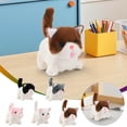 thumbnail image 1 of Sentmoon Plushs Dolls Gift for 2 Years Old Girl Adorable Toy - Interactive And Soft Stuffed for Kids And Pet Lovers Collar Color Random Colorful & Eye-Catching, 1 of 10