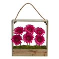 thumbnail image 1 of Gerber Daisy Garden Artificial Arrangement in Hanging Frame, Beauty, 1 of 1