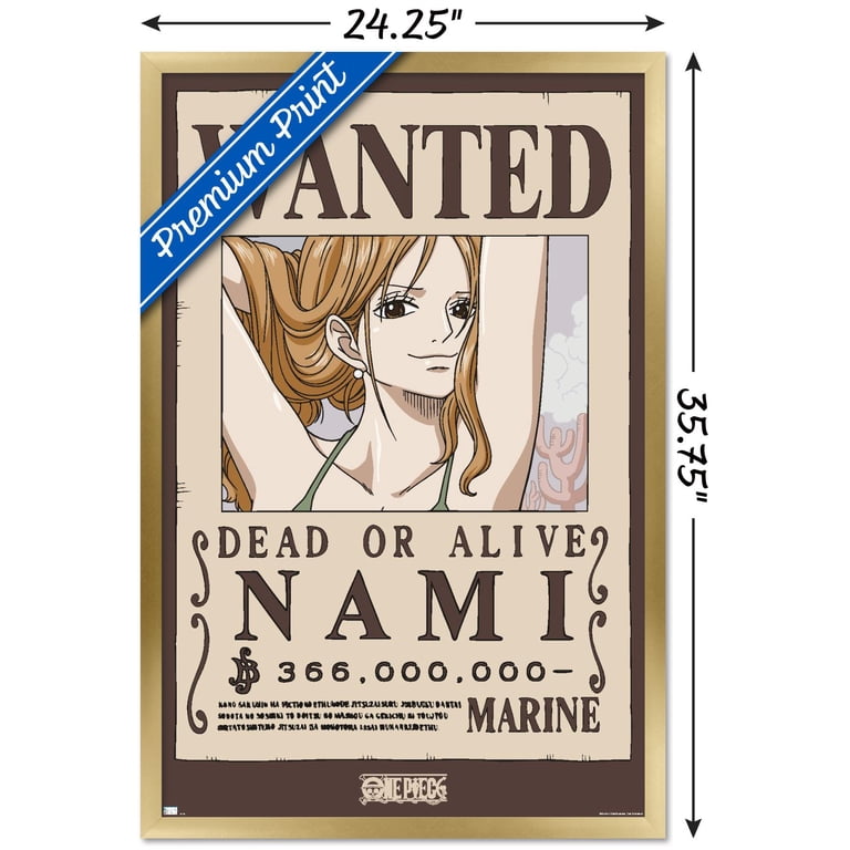 One Piece - Nami Wanted Poster Wall Poster, 22.375