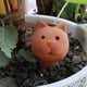 thumbnail image 5 of Riego Automáticas Para Plantas, Picos De Riego Por Goteo De Agua Para Plantas Con Forma De Animal Para Plantas De Interior Y Exterior Noticed HA041274-02, 5 of 6