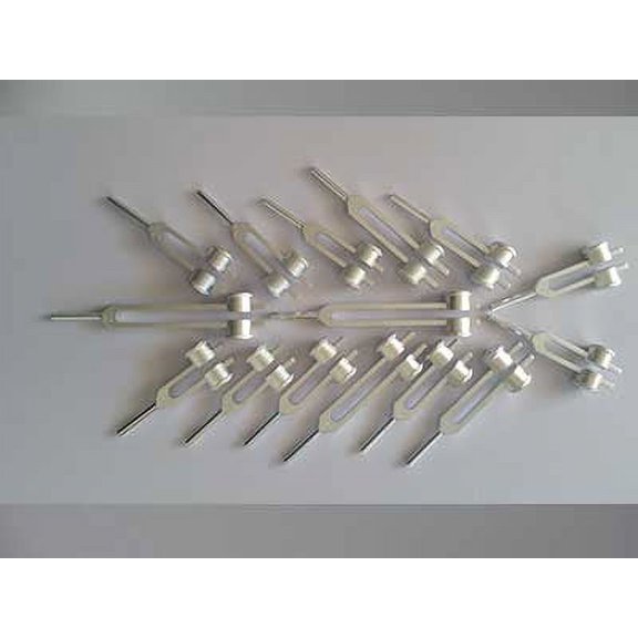 Human Organ Tuning Fork Weighted