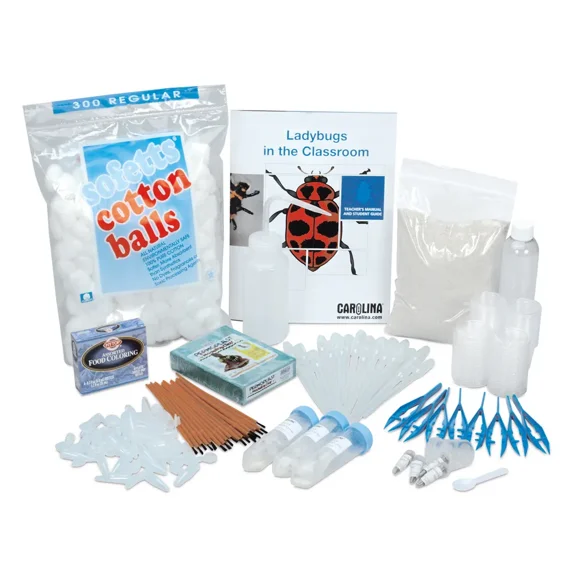 Ladybugs In The Classroom Kit (with Voucher)