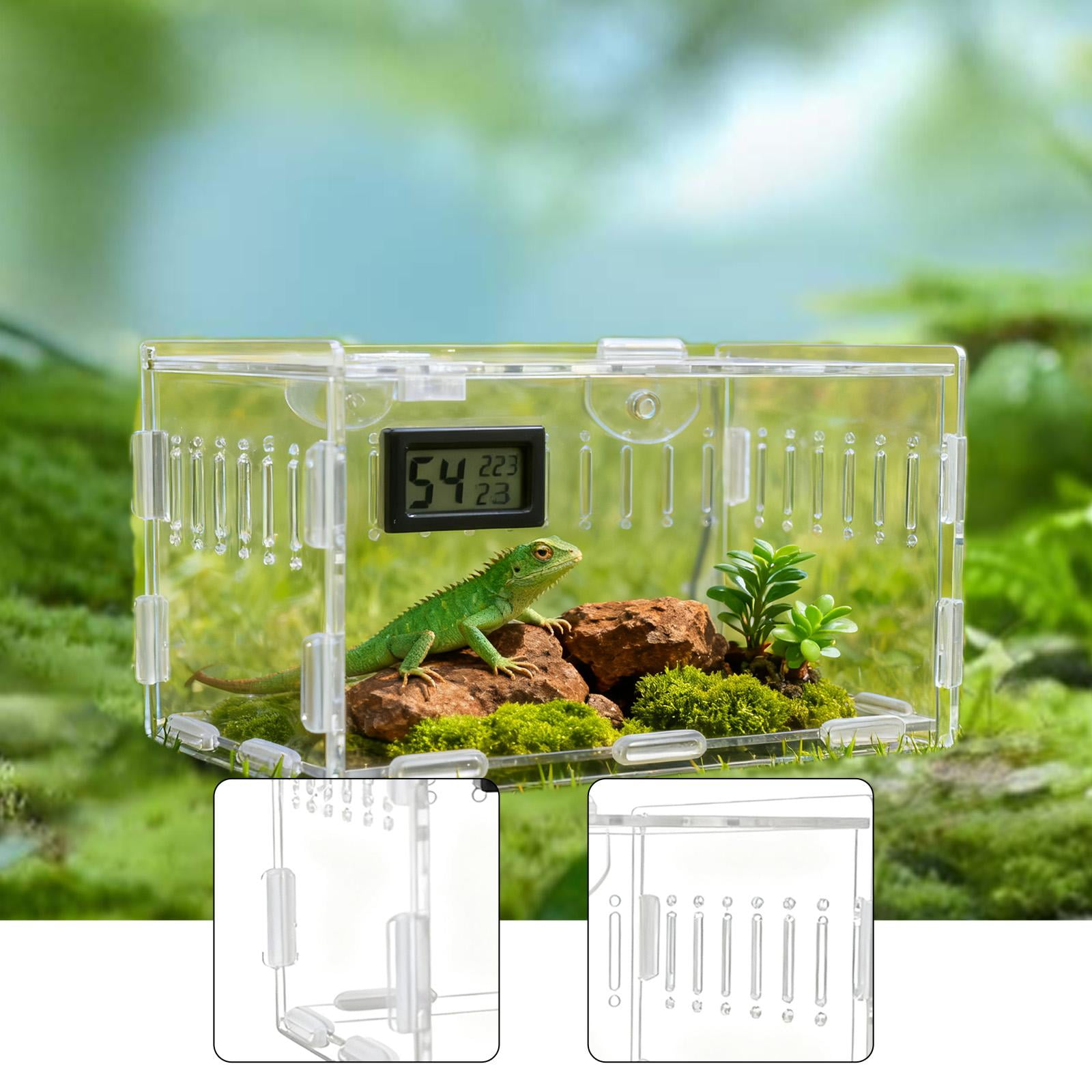 Reptile Terrarium Spider Cage Acrylic Enclosure Tarantula Container Sturdy Transparent Home Use