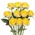 thumbnail image 1 of 12 Pack Halloween Decorations Black Rose Artificial Flower Reali, 1 of 5