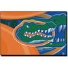 NCAA Florida Gators 39" x 59" Rug