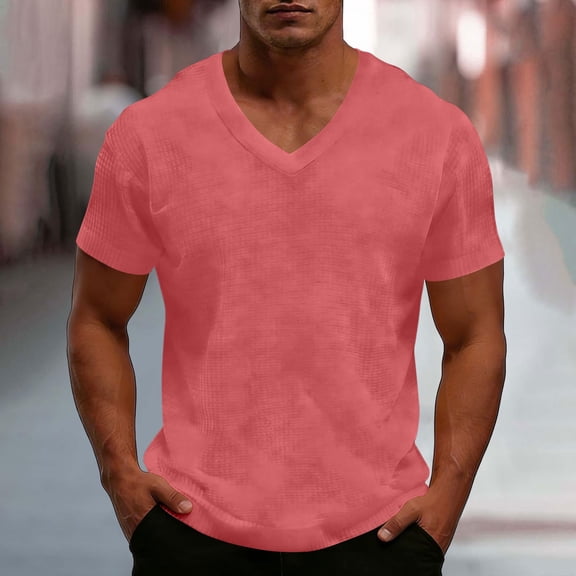 Wlynlyn Mens T-Shirts Short Sleeve Casual V-Neck Business Casual Wear Tops Soft Textured Knit Summer Basic Tee Shirt