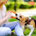 thumbnail image 5 of LaRoo Dog Flying Ring Toys, Floating Flying Dog Disc Toys, Summer Pet Training Outdoor Durable Chew Toys for Medium and Large Dogs, 5 of 5