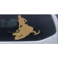 thumbnail image 1 of Snowmobile Trick Decal Car or Truck Window Decal Sticker, 1 of 1