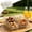 Acrylic Four-Compartment Platter Under $5 a4, variant on Usloyux Acrylic Fruit Platter, Four-Compartment Snack Plate for Home Kitchen Entertaining, Compartmentalized Serving Tray for Parties Bars Restaurants, Commercial Clear Plastic Appetizer Display