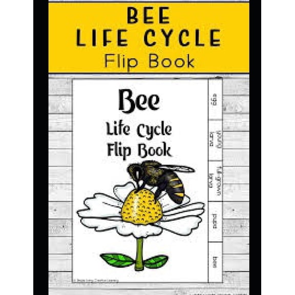 Life Cycle of Bees, (Paperback)