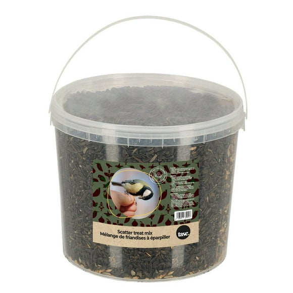Sunflower Pail, Sunflower Seeds