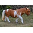thumbnail image 5 of Statue d'Animal de Décoration de Jardin Poney Shetland-Brun/blanc, 5 of 5