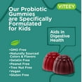 thumbnail image 4 of VITEEY Kids Probiotic Gummies with Prebiotic Fiber, Digestive Health & Immune Support, 60 Ct, 4 of 7