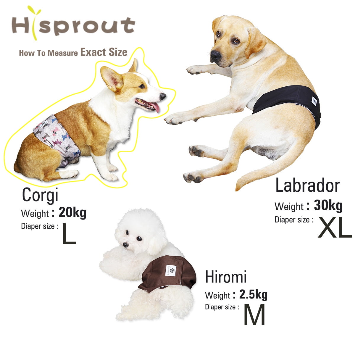Reusable Washable Dog Diapers Male Belly Bands Pee Wrap for Boy Dogs - Coffee + Black + Grey