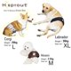 thumbnail image 5 of Paquete de 3 pañales lavables para perros machos, envolturas reutilizables para perros machos, bandas para el vientre altamente absorbentes, envoltura para orinar para perrito niño, café + negro +, 5 of 6